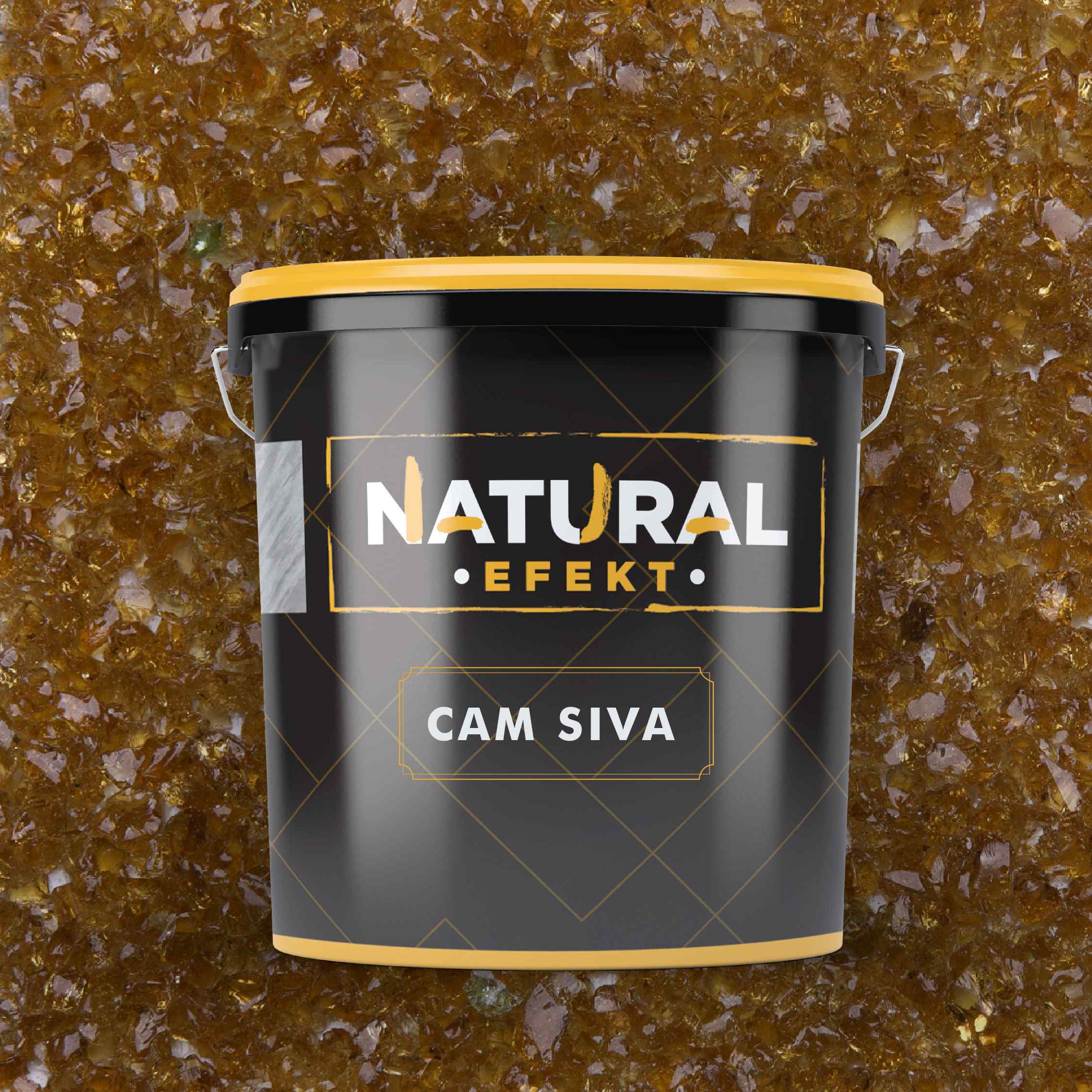 CAM SIVA