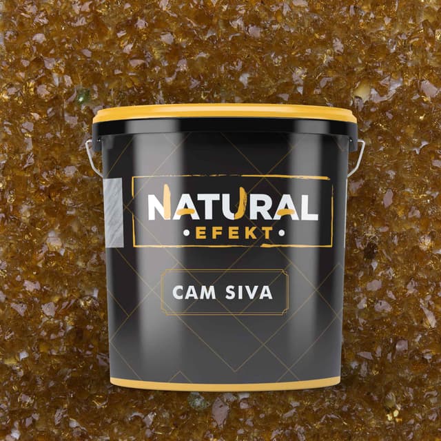 CAM SIVA
